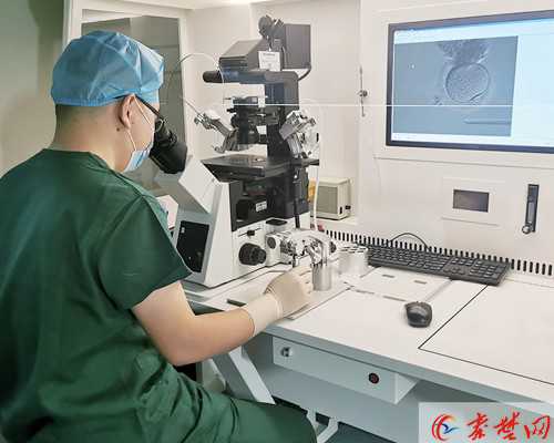 早孕期阴超检查的适用性、安全性和注意事项_早期怀孕阴超检查的应用、适用