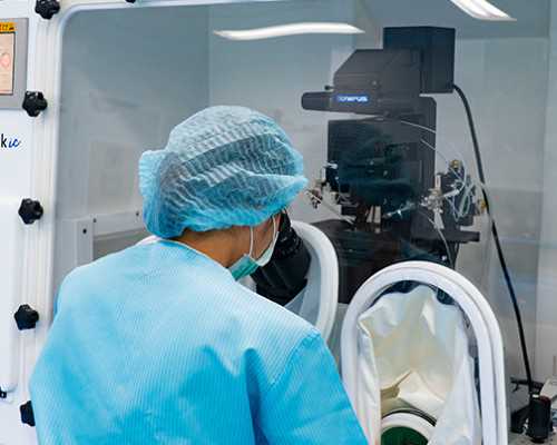 杭州专业借卵机构,杭州试管婴儿要多少钱,福州无痛人流哪家医院好