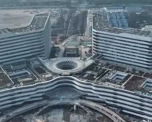 青蛙最伟大(青蛙真伟大儿歌歌词)