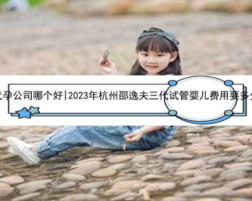 杭州代孕公司哪个好|2023年杭州邵逸夫三代试管婴儿费用要多少钱？